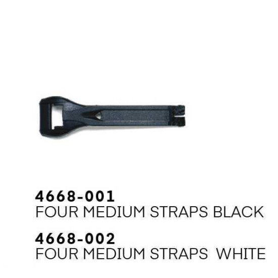 GAE.4668.001