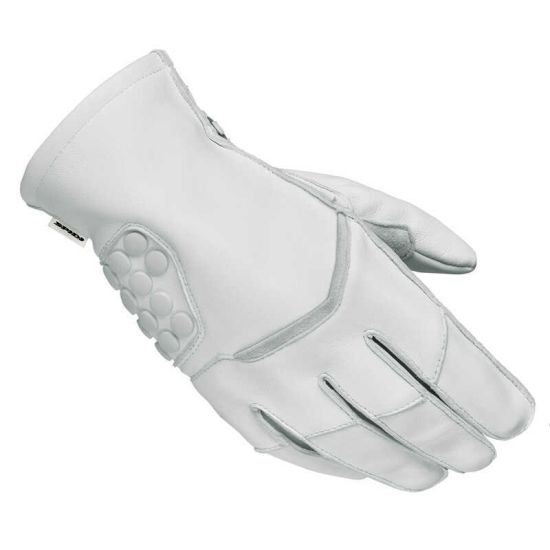 SPIDI.A229.001